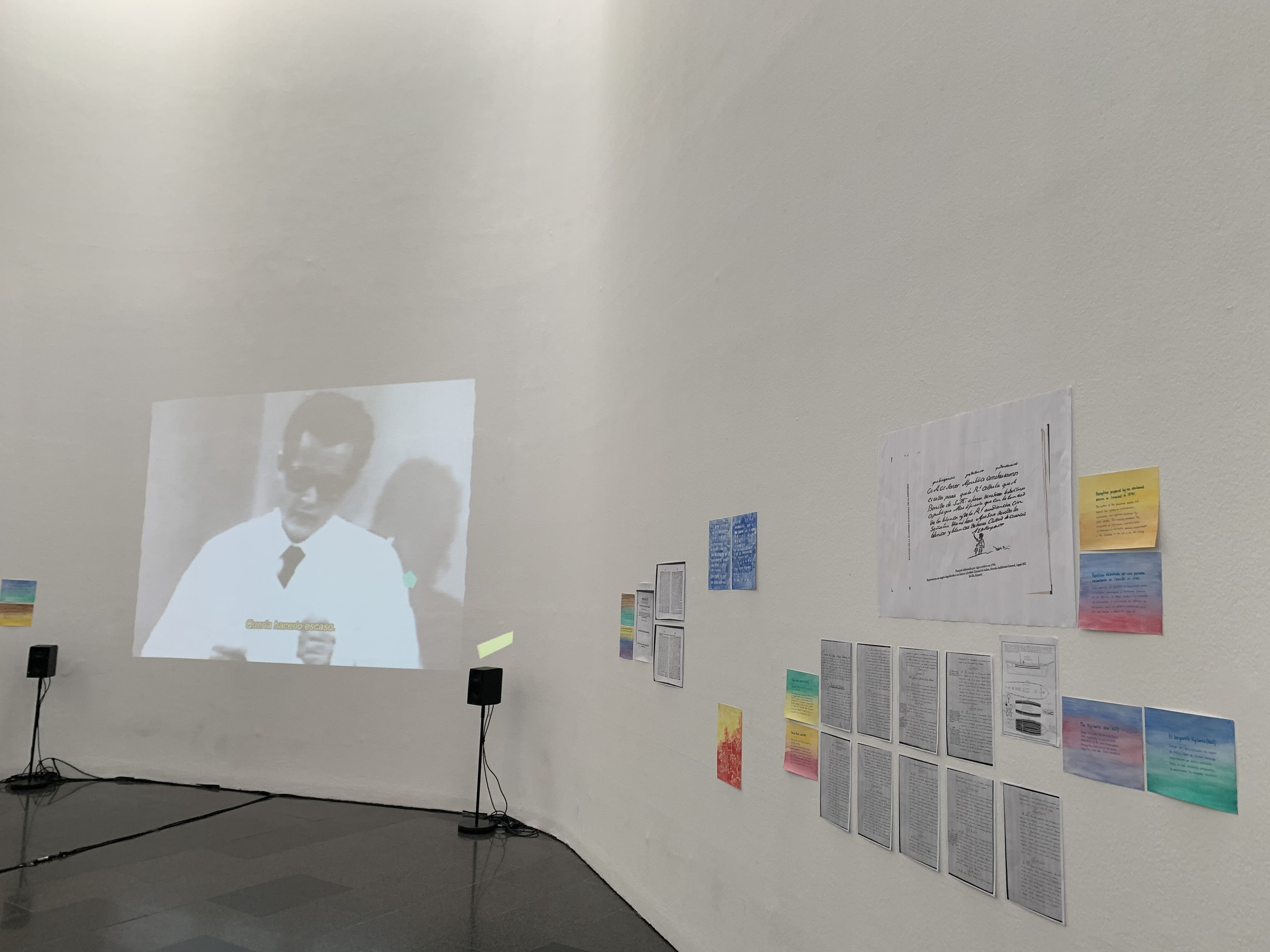 installation view